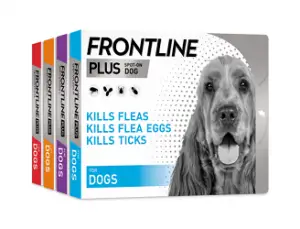 can you use frontline for dogs on cats