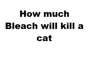 How Much Bleach Will Kill a Cat