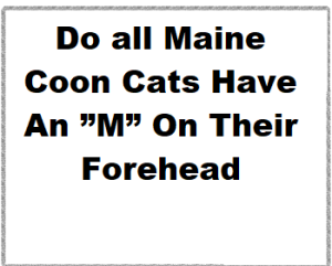 Do all Maine Coon Cats Have An ”M” On Their Forehead
