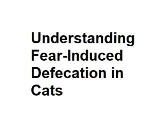 Understanding Fear-Induced Defecation in Cats