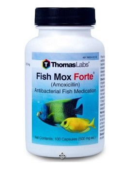 fish mox for cats