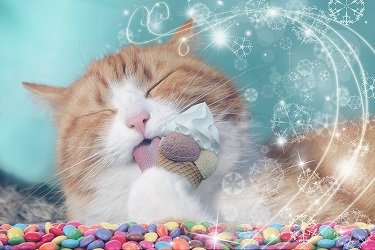 why do cats like ice cream