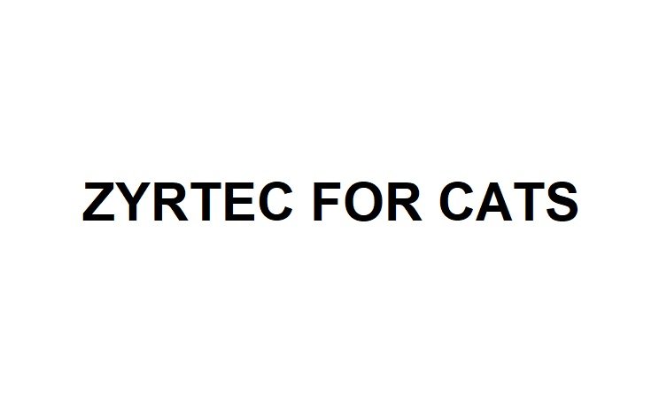 zyrtec for cats appetite